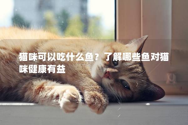 猫咪可以吃什么鱼？了解哪些鱼对猫咪健康有益