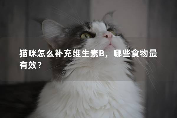 猫咪怎么补充维生素B，哪些食物最有效？