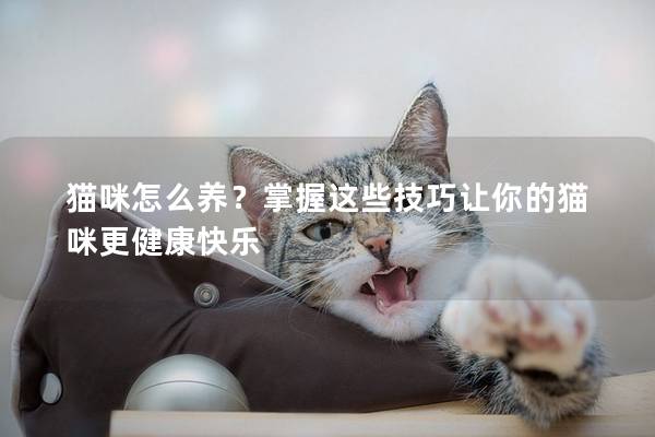 猫咪怎么养？掌握这些技巧让你的猫咪更健康快乐