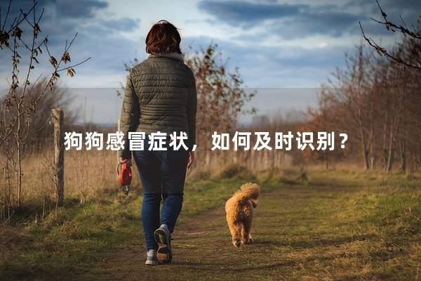 狗狗感冒症状，如何及时识别？