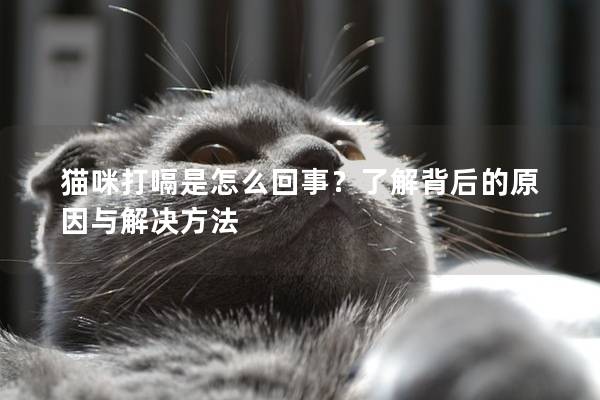 猫咪打嗝是怎么回事？了解背后的原因与解决方法