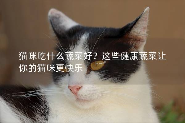 猫咪吃什么蔬菜好？这些健康蔬菜让你的猫咪更快乐