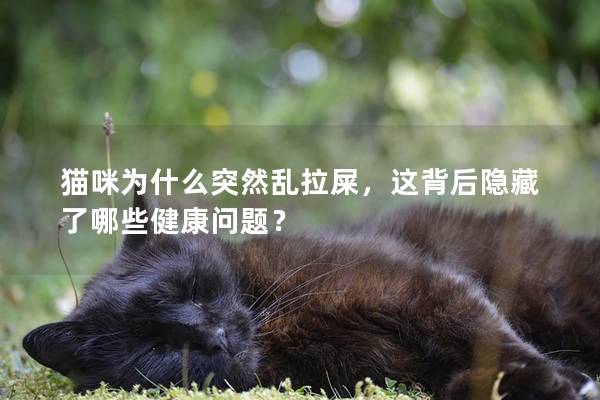 猫咪为什么突然乱拉屎，这背后隐藏了哪些健康问题？