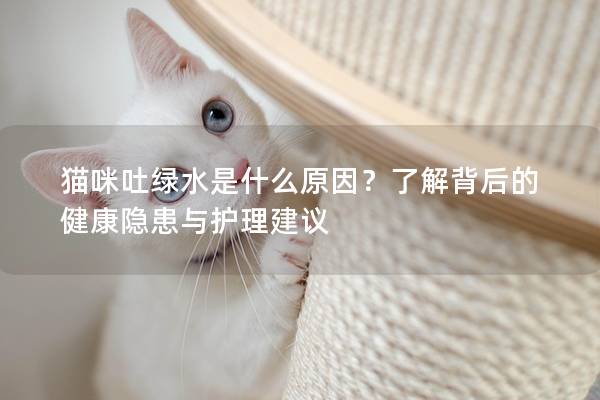 猫咪吐绿水是什么原因？了解背后的健康隐患与护理建议