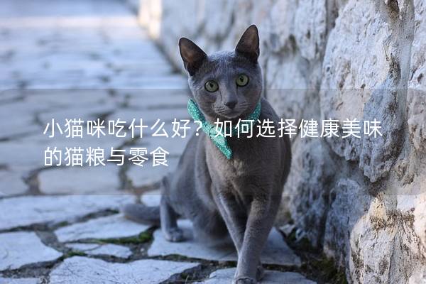 小猫咪吃什么好？如何选择健康美味的猫粮与零食