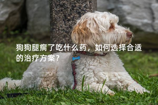 狗狗腿瘸了吃什么药，如何选择合适的治疗方案？