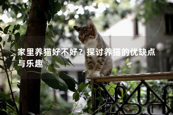 家里养猫好不好？探讨养猫的优缺点与乐趣