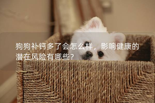 狗狗补钙多了会怎么样，影响健康的潜在风险有哪些？