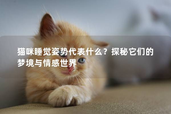 猫咪睡觉姿势代表什么？探秘它们的梦境与情感世界