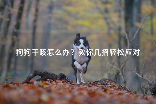 狗狗干咳怎么办？教你几招轻松应对