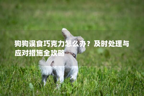 狗狗误食巧克力怎么办？及时处理与应对措施全攻略