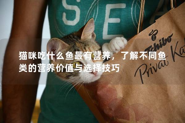 猫咪吃什么鱼最有营养，了解不同鱼类的营养价值与选择技巧