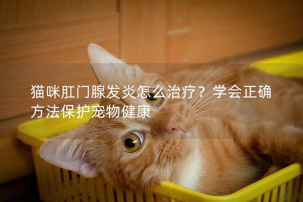 猫咪肛门腺发炎怎么治疗？学会正确方法保护宠物健康