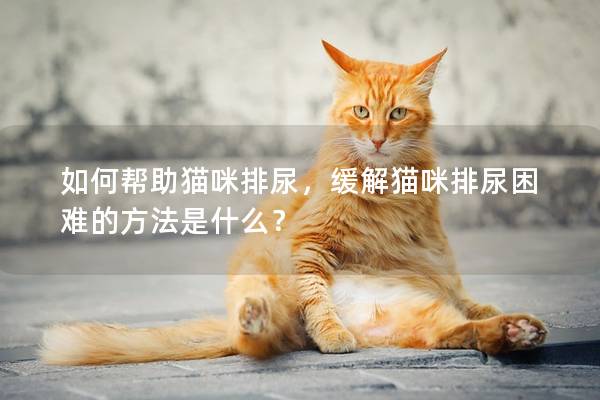 如何帮助猫咪排尿，缓解猫咪排尿困难的方法是什么？