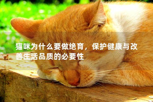 猫咪为什么要做绝育，保护健康与改善生活品质的必要性