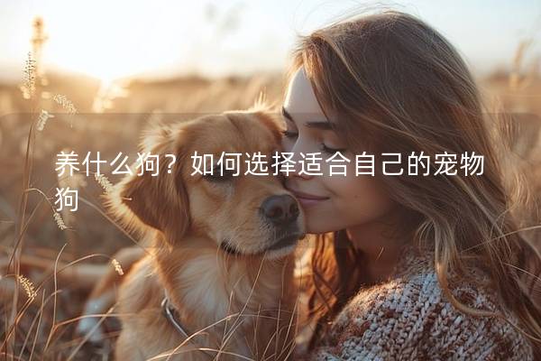 养什么狗？如何选择适合自己的宠物狗