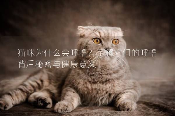 猫咪为什么会呼噜？了解它们的呼噜背后秘密与健康意义