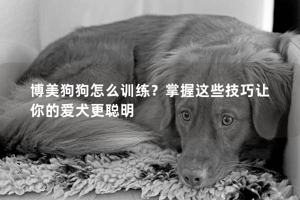 博美狗狗怎么训练？掌握这些技巧让你的爱犬更聪明