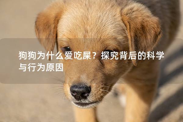 狗狗为什么爱吃屎？探究背后的科学与行为原因