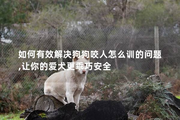 如何有效解决狗狗咬人怎么训的问题,让你的爱犬更乖巧安全