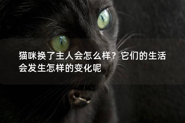 猫咪换了主人会怎么样？它们的生活会发生怎样的变化呢