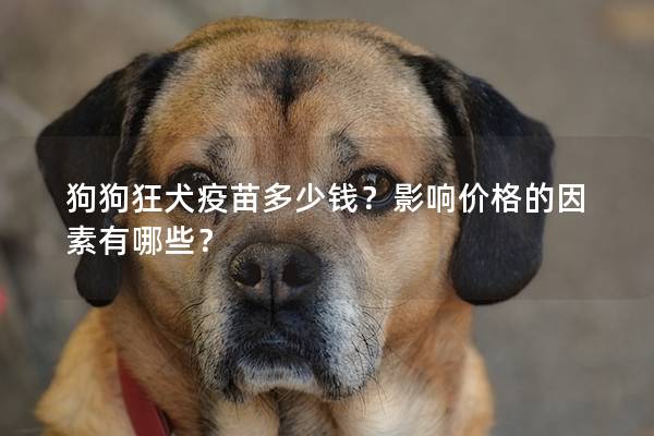 狗狗狂犬疫苗多少钱？影响价格的因素有哪些？