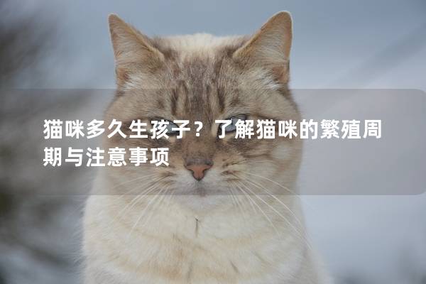 猫咪多久生孩子？了解猫咪的繁殖周期与注意事项