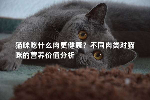 猫咪吃什么肉更健康？不同肉类对猫咪的营养价值分析