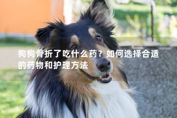 狗狗骨折了吃什么药？如何选择合适的药物和护理方法