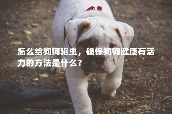 怎么给狗狗驱虫，确保狗狗健康有活力的方法是什么？