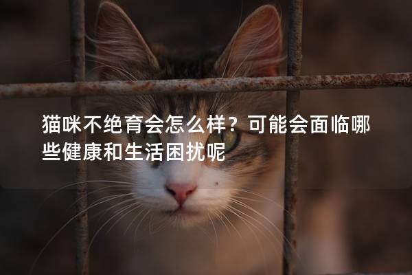 猫咪不绝育会怎么样？可能会面临哪些健康和生活困扰呢