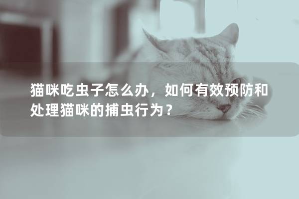 猫咪吃虫子怎么办，如何有效预防和处理猫咪的捕虫行为？