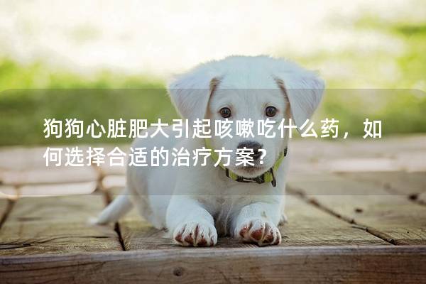 狗狗心脏肥大引起咳嗽吃什么药，如何选择合适的治疗方案？