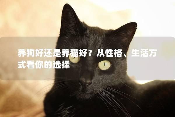 养狗好还是养猫好？从性格、生活方式看你的选择