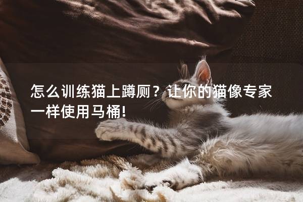 怎么训练猫上蹲厕？让你的猫像专家一样使用马桶!