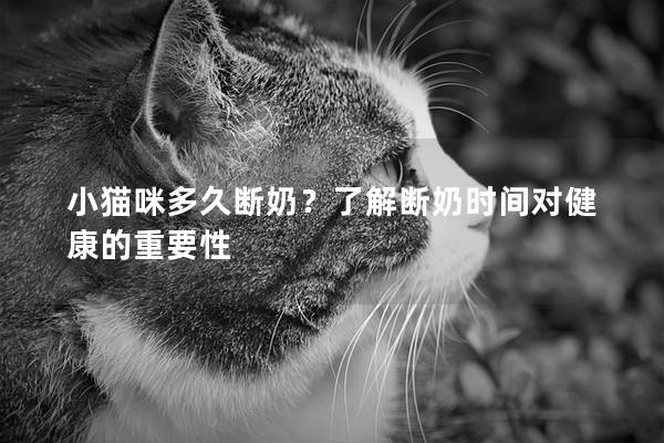 小猫咪多久断奶？了解断奶时间对健康的重要性