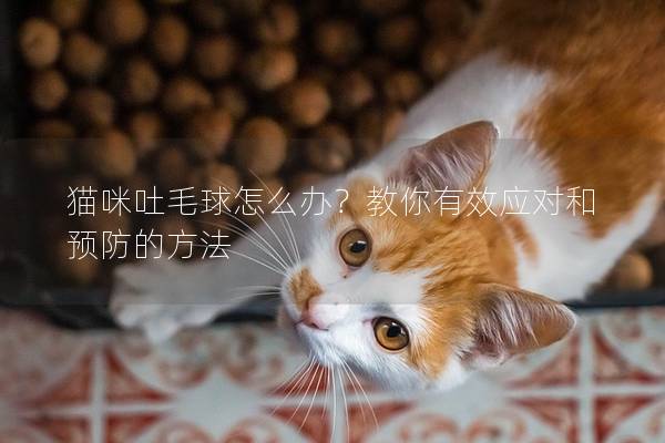 猫咪吐毛球怎么办？教你有效应对和预防的方法