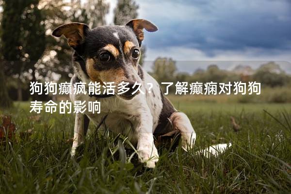 狗狗癫疯能活多久？了解癫痫对狗狗寿命的影响