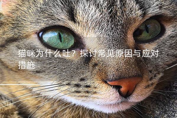 猫咪为什么吐？探讨常见原因与应对措施