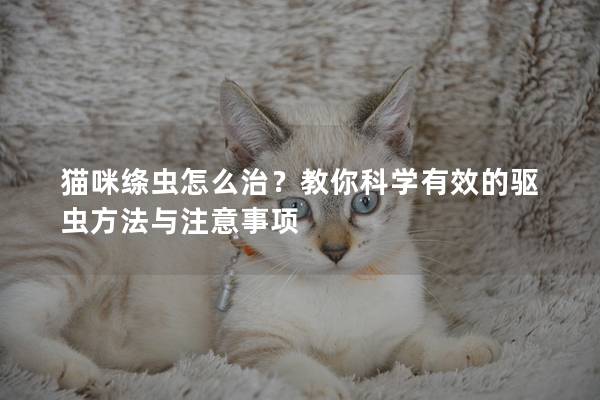 猫咪绦虫怎么治？教你科学有效的驱虫方法与注意事项