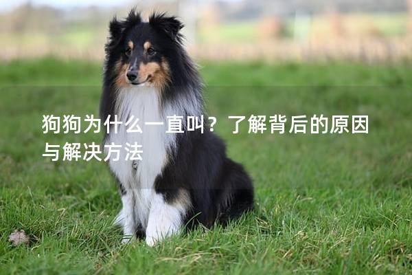 狗狗为什么一直叫？了解背后的原因与解决方法