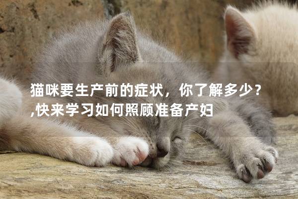 猫咪要生产前的症状，你了解多少？,快来学习如何照顾准备产妇