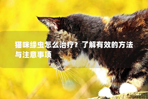 猫咪绦虫怎么治疗？了解有效的方法与注意事项