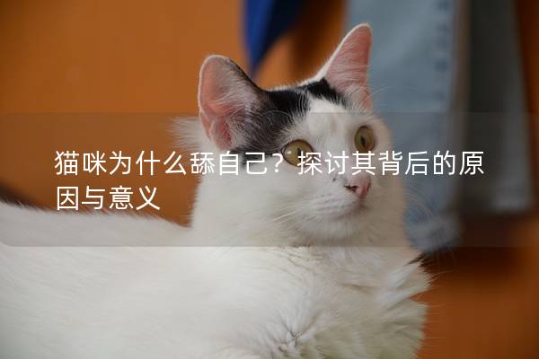 猫咪为什么舔自己？探讨其背后的原因与意义