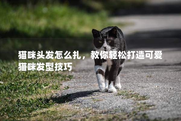 猫咪头发怎么扎，教你轻松打造可爱猫咪发型技巧