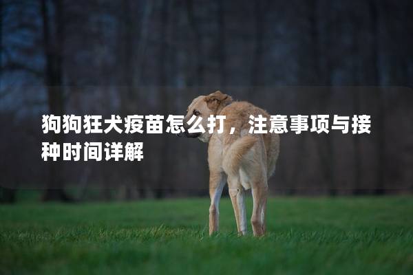 狗狗狂犬疫苗怎么打，注意事项与接种时间详解