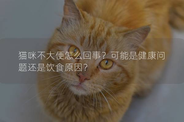 猫咪不大便怎么回事？可能是健康问题还是饮食原因？