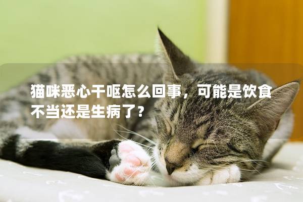 猫咪恶心干呕怎么回事，可能是饮食不当还是生病了？