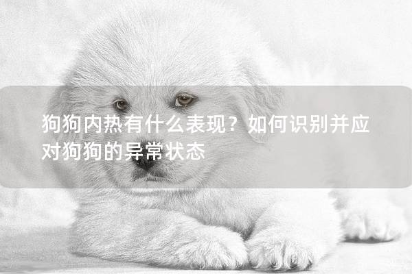 狗狗内热有什么表现？如何识别并应对狗狗的异常状态