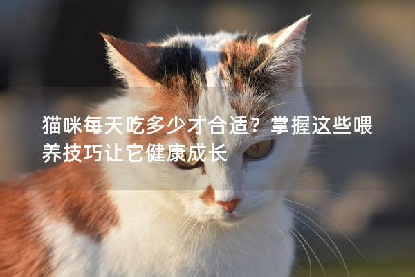 猫咪每天吃多少才合适？掌握这些喂养技巧让它健康成长